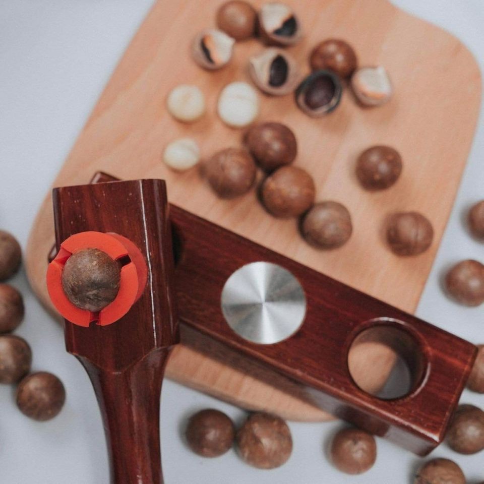Red silicone cup of the MaccaWakka holding a macadamia, with cracked shells and nuts on a timber board